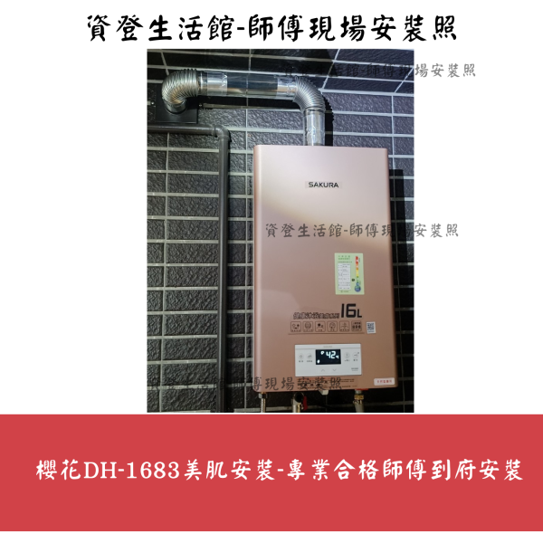 櫻花 DH1683美膚沐浴熱水器 16公升 強制排氣 