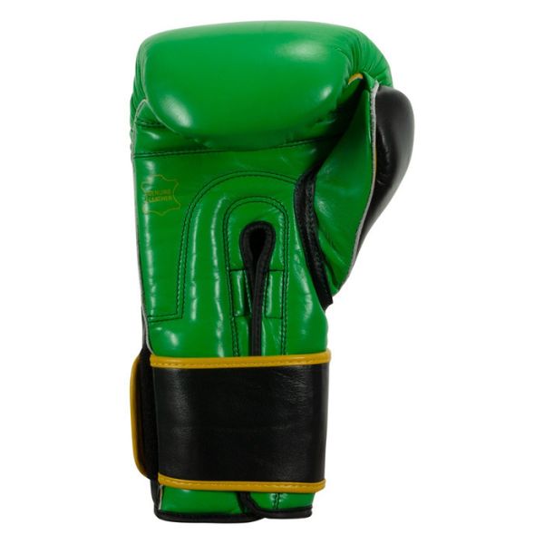 【TMMA】TITLE WBC 聯名款 真皮 拳擊 訓練 拳套 - 綠/黑 - WBCTG #拳套 #拳擊手套 #TMMA #台北格鬥運動館 #格鬥裝備 #格鬥用品 #拳擊 #拳擊有氧 #踢拳 #踢拳擊 #泰拳 #散打 #MMA #格鬥 #沙包拳套 #練習拳套 #比賽拳套 #初階拳套 #入門拳套 #專業拳套  #TITLE