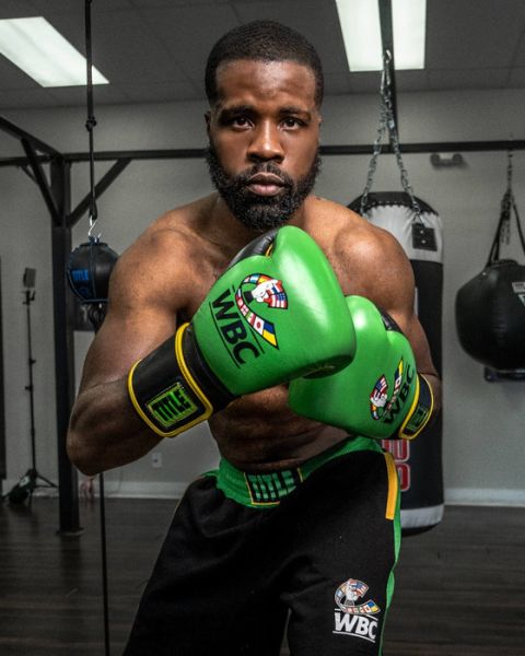 【TMMA】TITLE WBC 聯名款 真皮 拳擊 訓練 拳套 - 綠/黑 - WBCTG #拳套 #拳擊手套 #TMMA #台北格鬥運動館 #格鬥裝備 #格鬥用品 #拳擊 #拳擊有氧 #踢拳 #踢拳擊 #泰拳 #散打 #MMA #格鬥 #沙包拳套 #練習拳套 #比賽拳套 #初階拳套 #入門拳套 #專業拳套  #TITLE