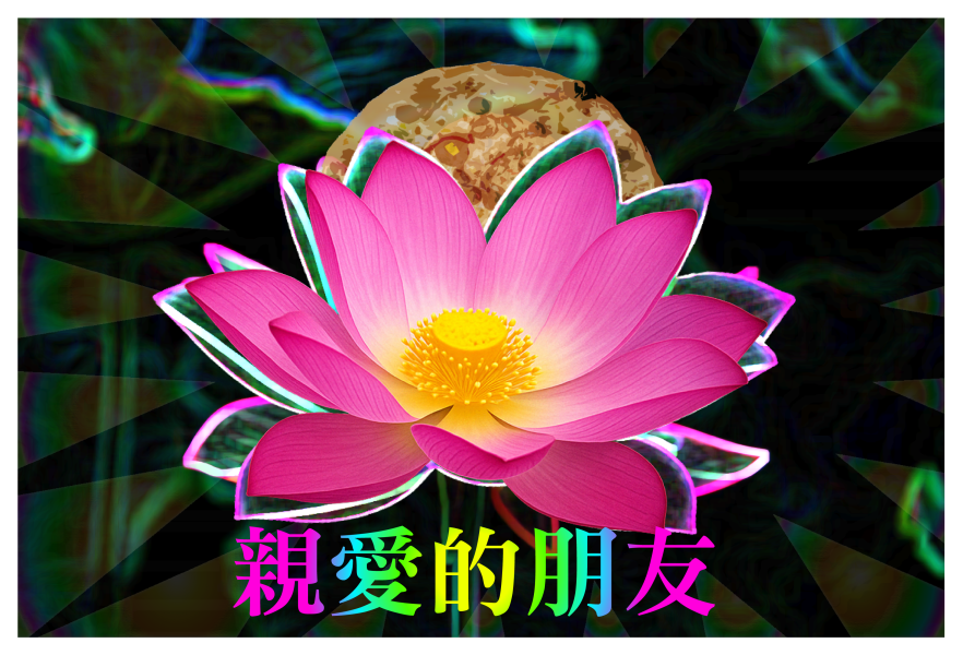 斗內蓮宇宙 蓮宇宙功德金 