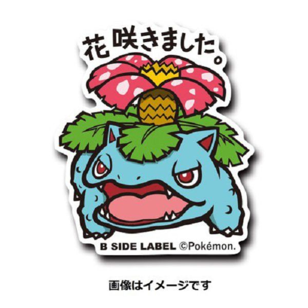 現貨 日本正版 寶可夢 防水貼紙 B-SIDE 1~8 傑尼龜 噴火龍 妙蛙種子 神奇寶貝 