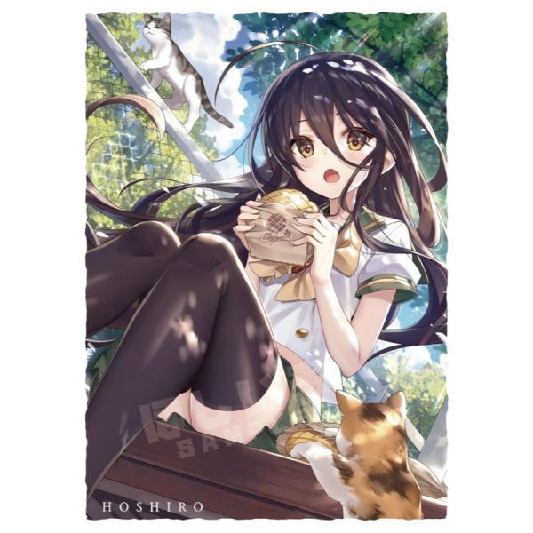 現貨 COMIC125 星之色 灼眼的夏娜 夏娜 制服ver 同人卡套 60張入 