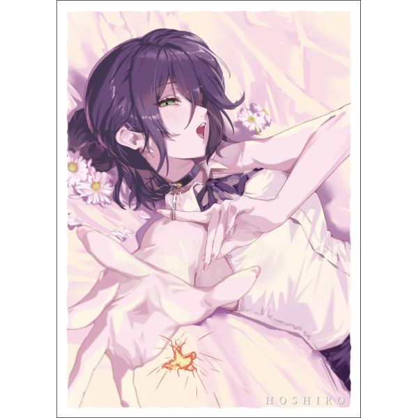 【預購】 C107 星之色 B 同人卡套 60張入 