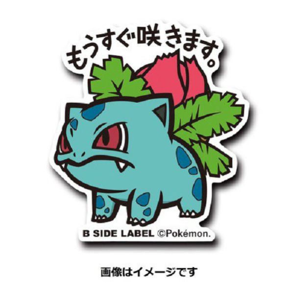 現貨 日本正版 寶可夢 防水貼紙 B-SIDE 1~8 傑尼龜 噴火龍 妙蛙種子 神奇寶貝 
