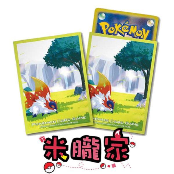 現貨 爬地翅 高級 磨砂 卡套 1包64張 66x92mm 寶可夢中心限定 
