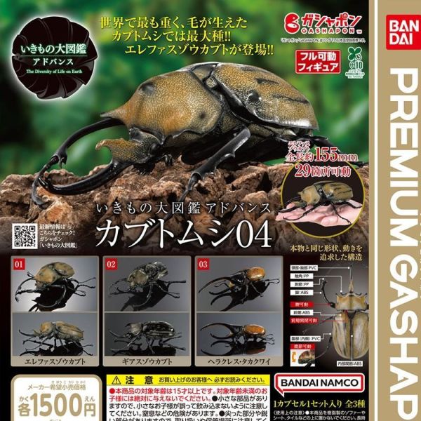 生物大圖鑑 獨角仙04 PREMIUM GASHAPON 萬代 扭蛋 轉蛋 
