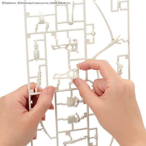 寶可夢 化石翼龍 化石博物館系列 組裝模型 