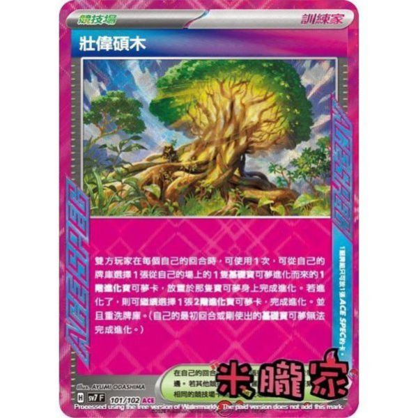 單卡販售(競技場) 閃卡 壯偉碩木 SV7 101/102 ACE 寶可夢中文卡牌 