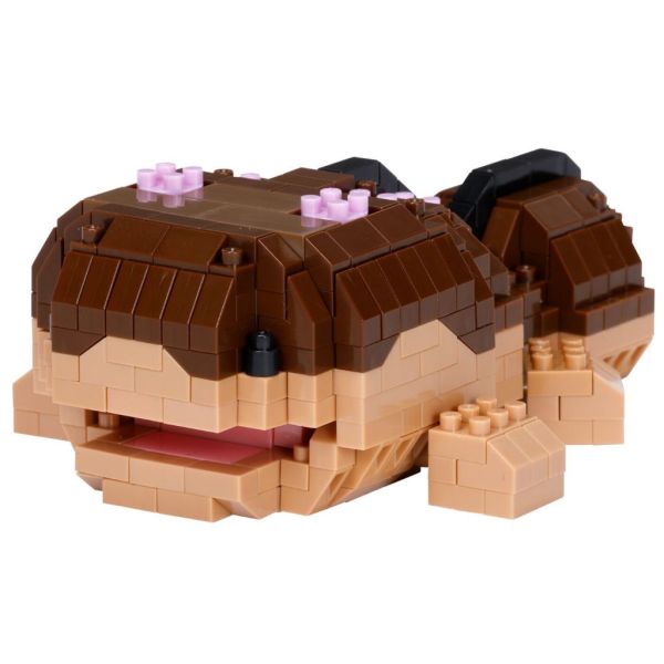 現貨 寶可夢積木 土王 nanoblock NBPM_R09 