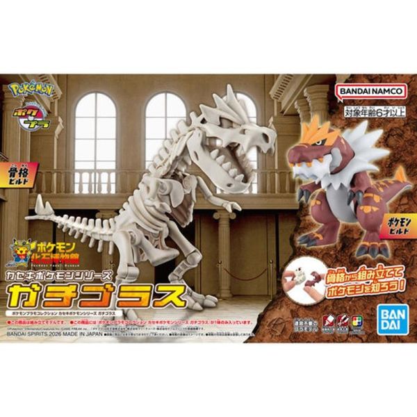 寶可夢 怪顎龍 化石博物館系列 組裝模型 