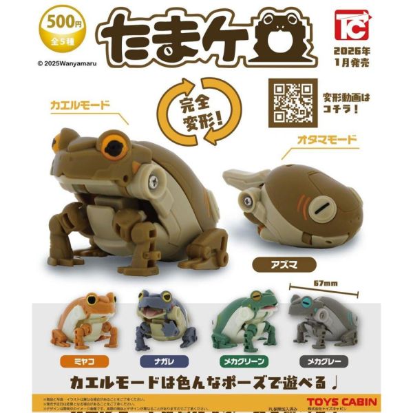 蝌蚪變青蛙 變形 機械公仔 Toys Cabin 扭蛋 轉蛋 
