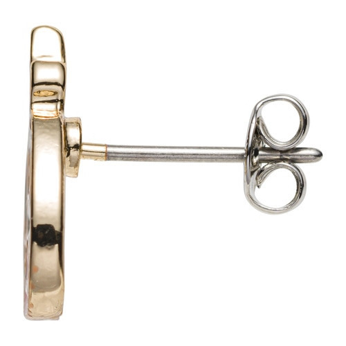 呆火鱷 耳環 針式 ピアス22 寶可夢中心限定 