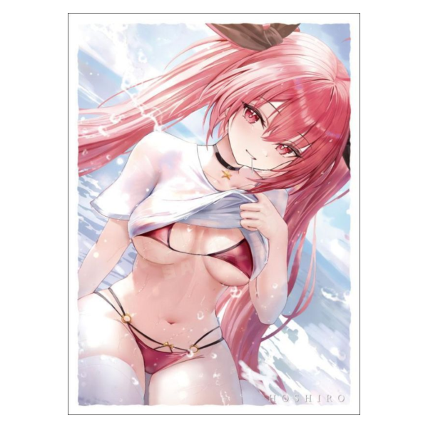 【預購】 COMIC1_28 星之色 B 同人卡套 60張入 