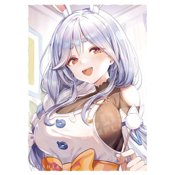 現貨 C105 星之色 hololive 佩克拉媽媽 Peko媽媽 同人卡套 60張入 