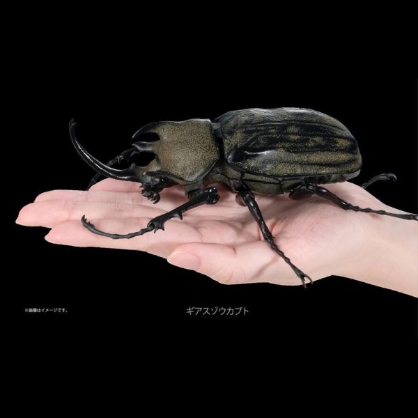 生物大圖鑑 獨角仙04 PREMIUM GASHAPON 萬代 扭蛋 轉蛋 