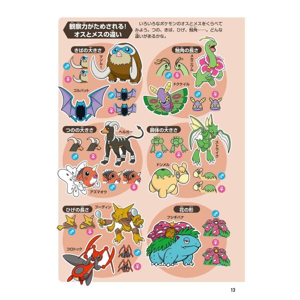 寶可夢 生態圖鑑 寶可夢中心限定 