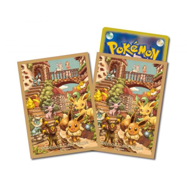 現貨 劍盾 伊布英雄 禮盒 塑膠卡盒 卡套 寶可夢中心限定 