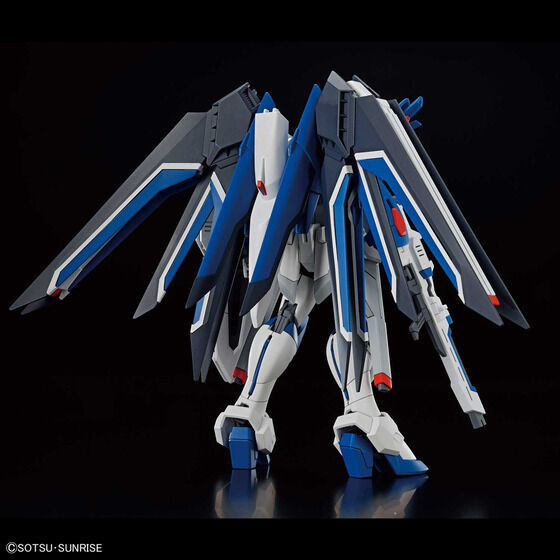 HG 1/144 鋼彈SEED FREEDOM 振揚自由鋼彈 BANDAI 組裝模型 
