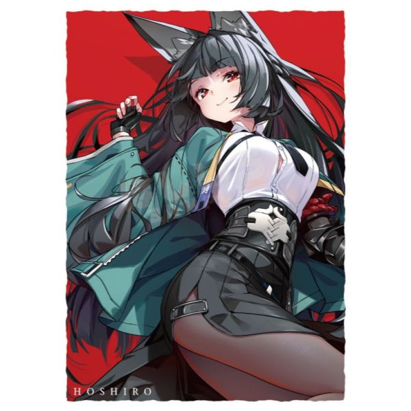 サンクリ2025 冬 星之色 絕區零 星見雅 同人卡套 60張入 