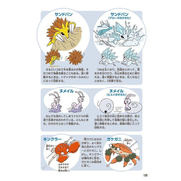 寶可夢 生態圖鑑 寶可夢中心限定 