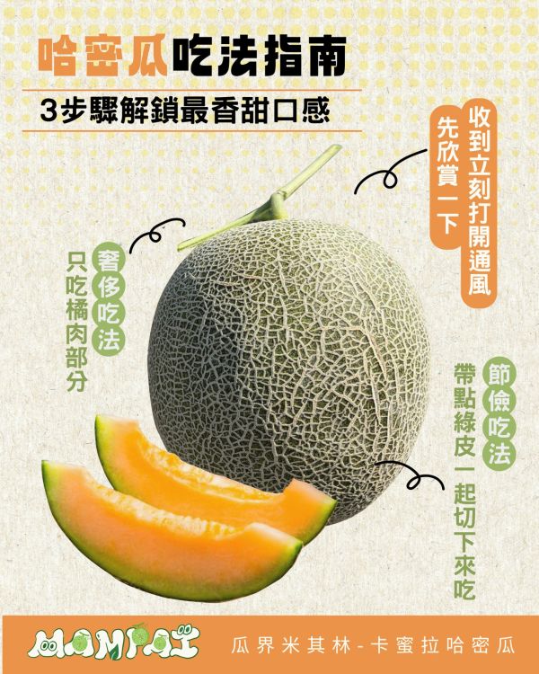 瓜界 米其林 卡蜜拉 哈密瓜 