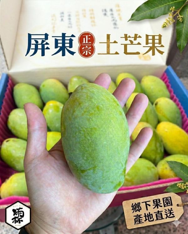 屏東正宗土芒果 