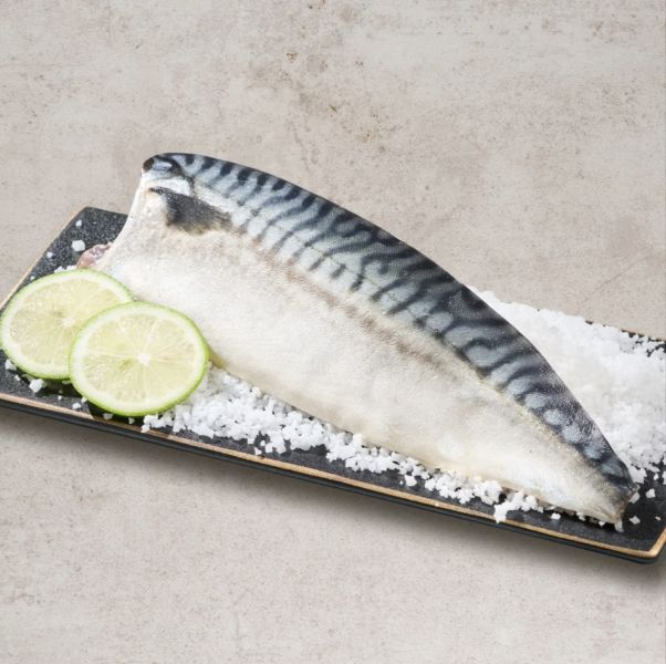 嚴選挪威鯖魚 
