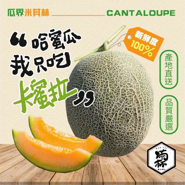 瓜界 米其林 卡蜜拉 哈密瓜 