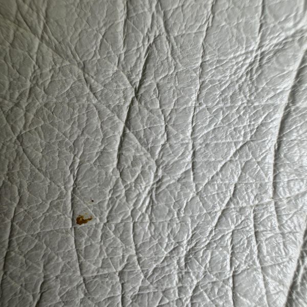 celine 鴕鳥皮古董單肩包 