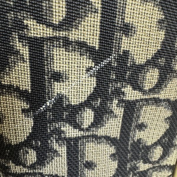 Dior Oblique Number 1 斜背相機包 