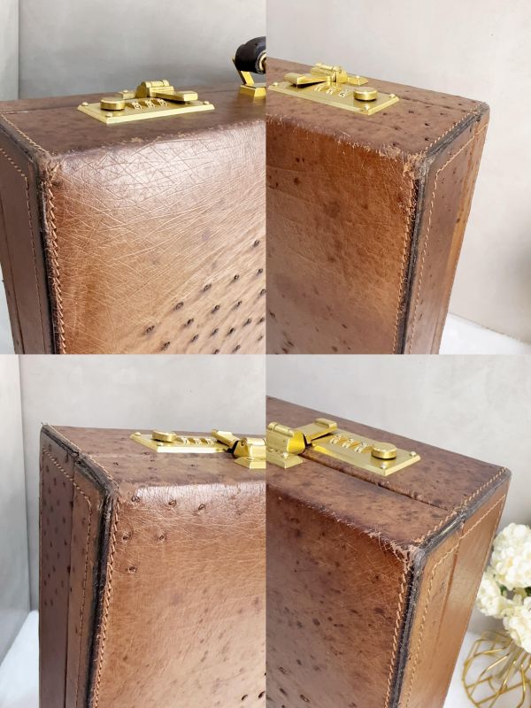 Loewe 復古鴕鳥皮公事包 