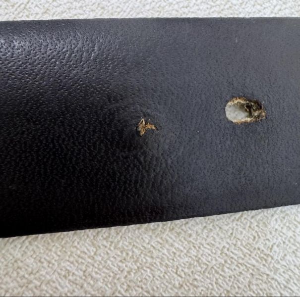 DIOR 金x黑頭 黑皮革 皮帶 腰帶 