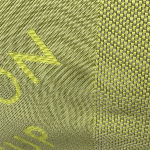 Louis Vuitton 限量帆布旅行袋 