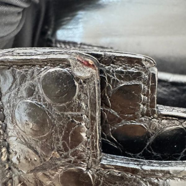 Hermès 稀有鱷魚皮皮包 