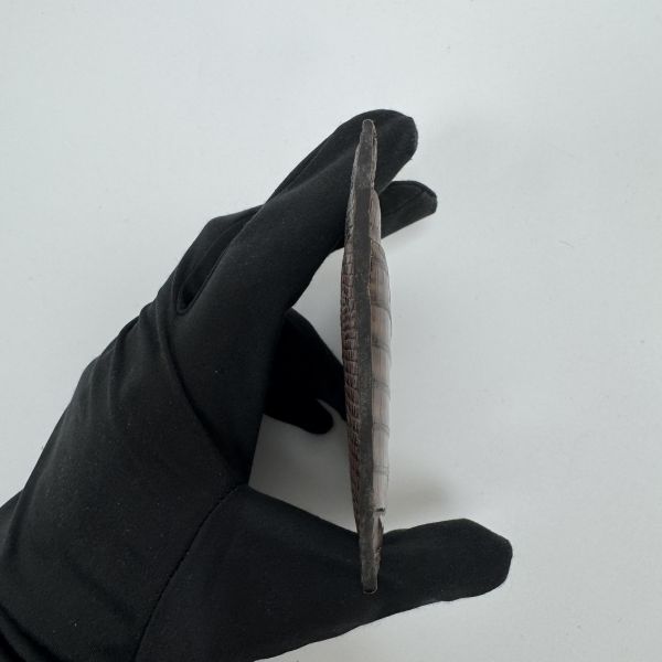 TOD'S 鰐魚紋卡夾 