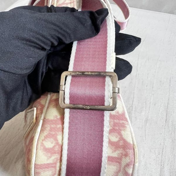 Dior 粉色運動休閒包 