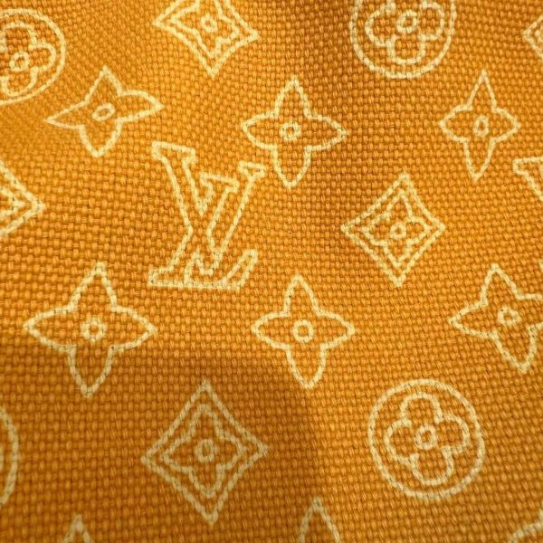 Louis Vuitton 限量款帆布子母沙灘包 