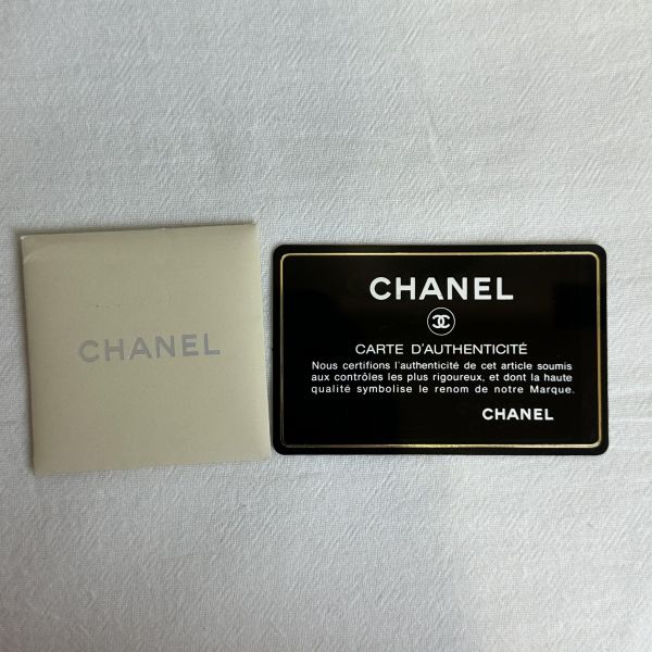 Chanel 香奈兒 Cruise Line 帆布手提包 