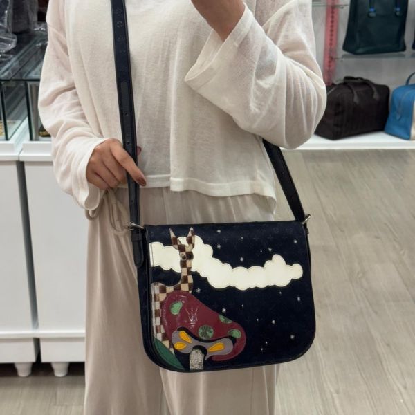 Louis Vuitton 特殊款斜背包 