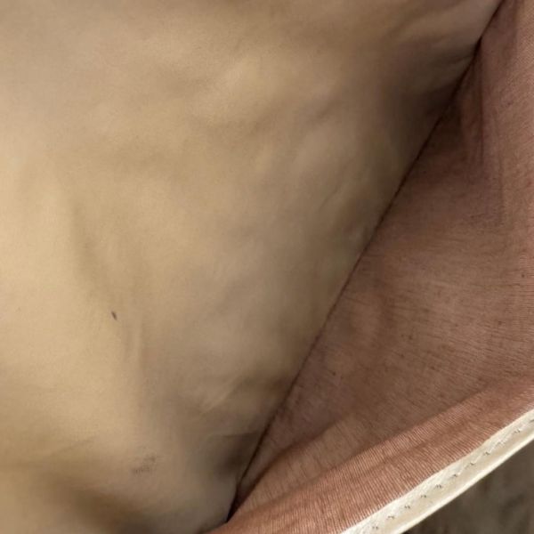 Dior 迪奧 托特大款手提包 