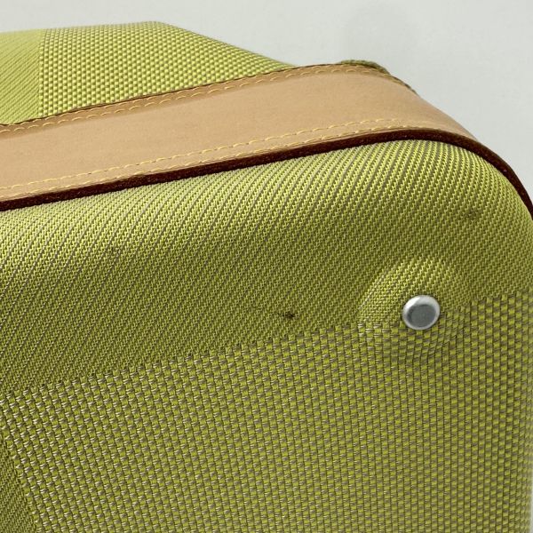 Louis Vuitton 限量帆布旅行袋 