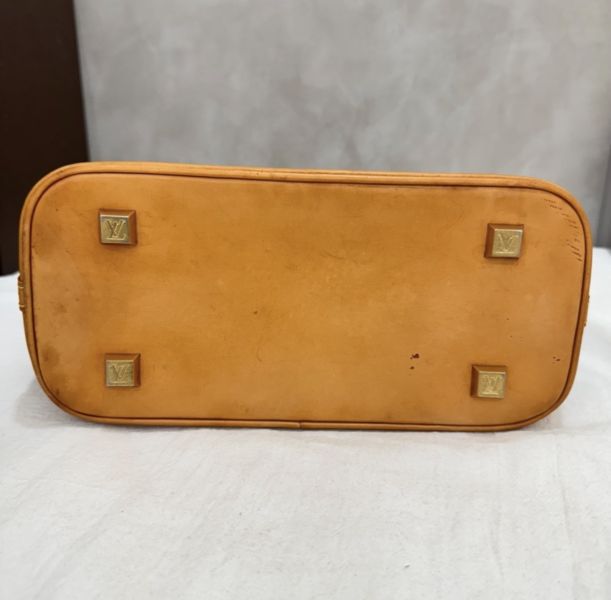 Louis Vuitton 玳瑁透明水桶沙灘包 