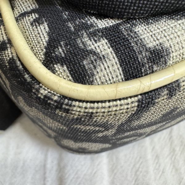 Dior Oblique Number 1 斜背相機包 