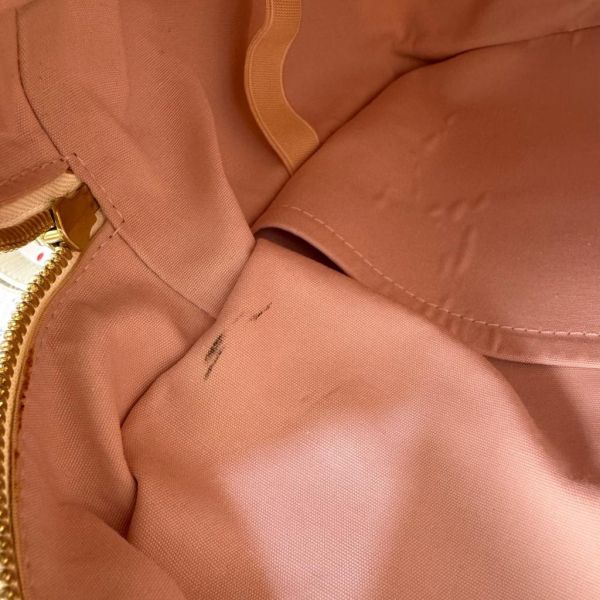 Louis Vuitton 玫瑰帆布單肩包 