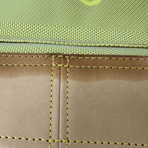 Louis Vuitton 限量帆布旅行袋 