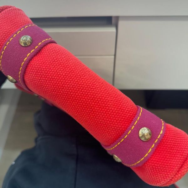 Louis Vuitton 小號帆布胭脂手提包 