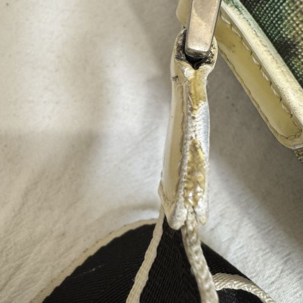 Dior Oblique Number 1 斜背相機包 