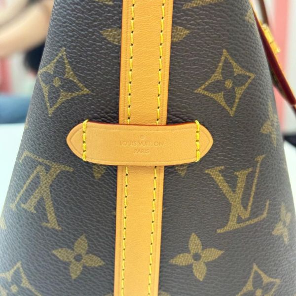 Louis Vuitton carryall 