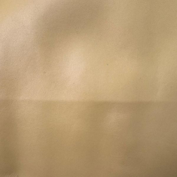 Chanel 玳瑁提把手提袋 