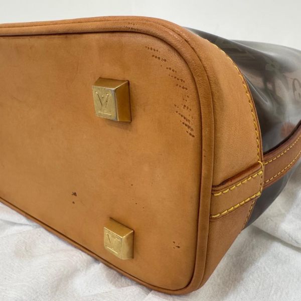Louis Vuitton 玳瑁透明水桶沙灘包 